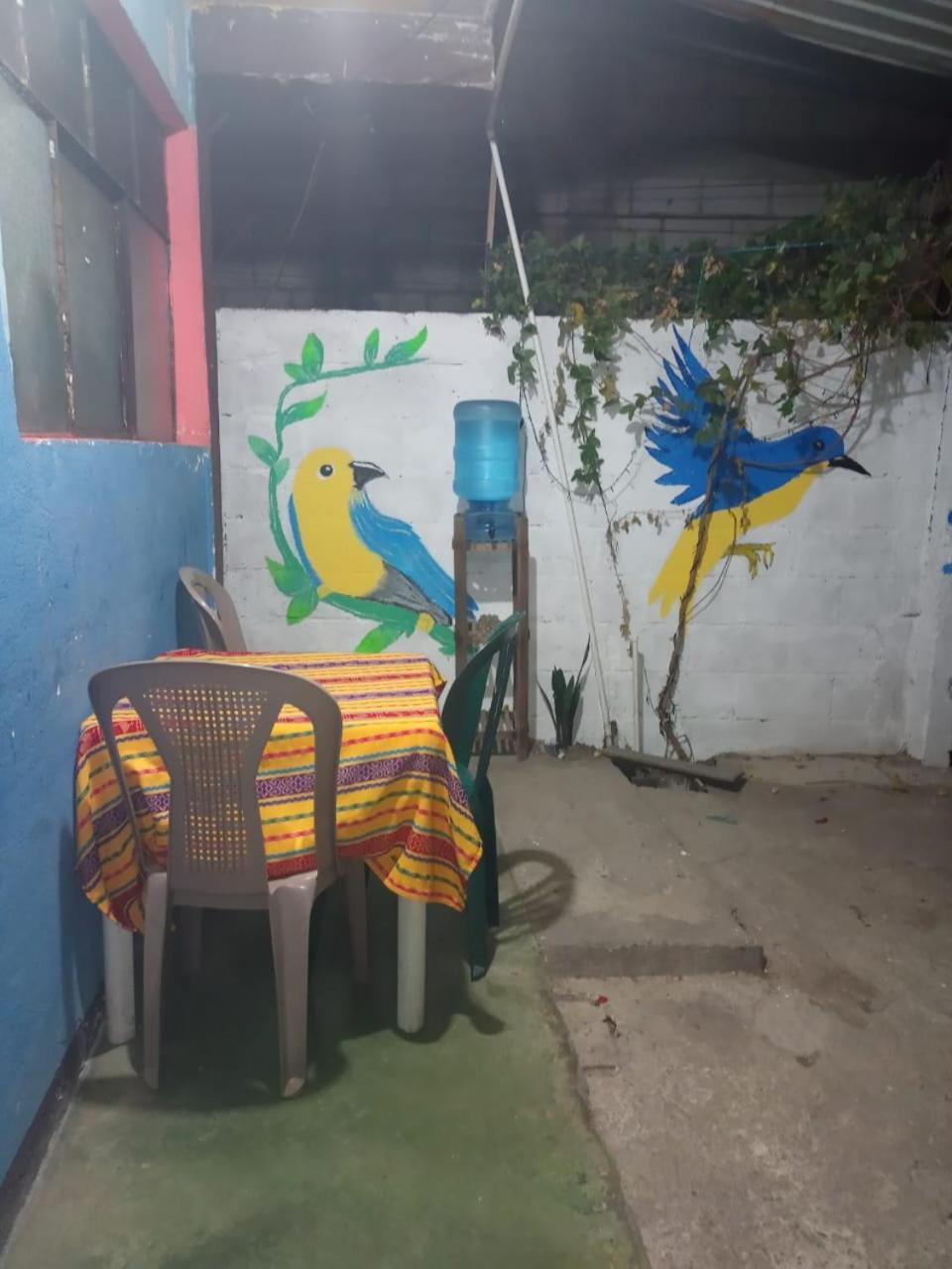 דירות פנחאצ'ל Casa Zope מראה חיצוני תמונה