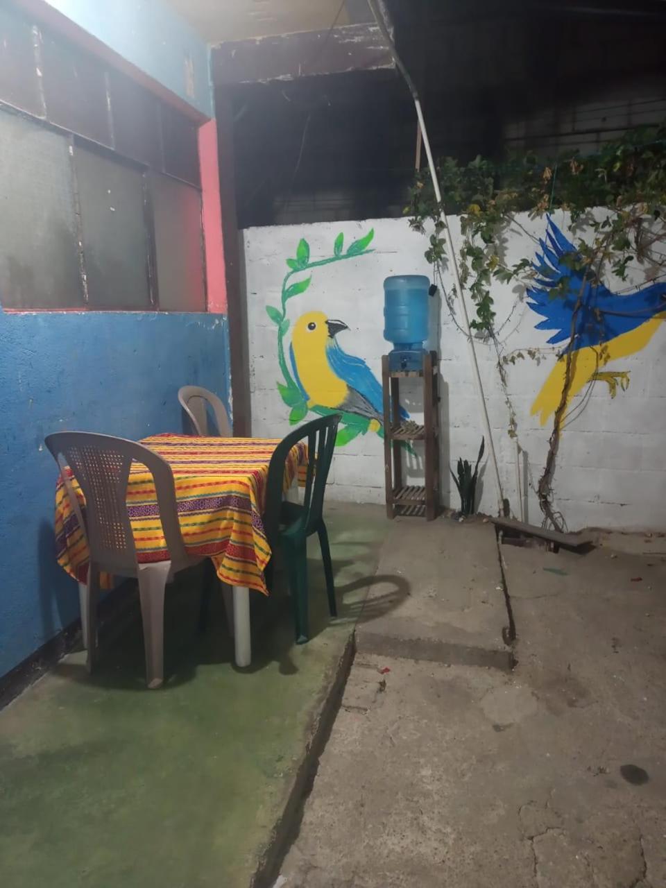 דירות פנחאצ'ל Casa Zope מראה חיצוני תמונה
