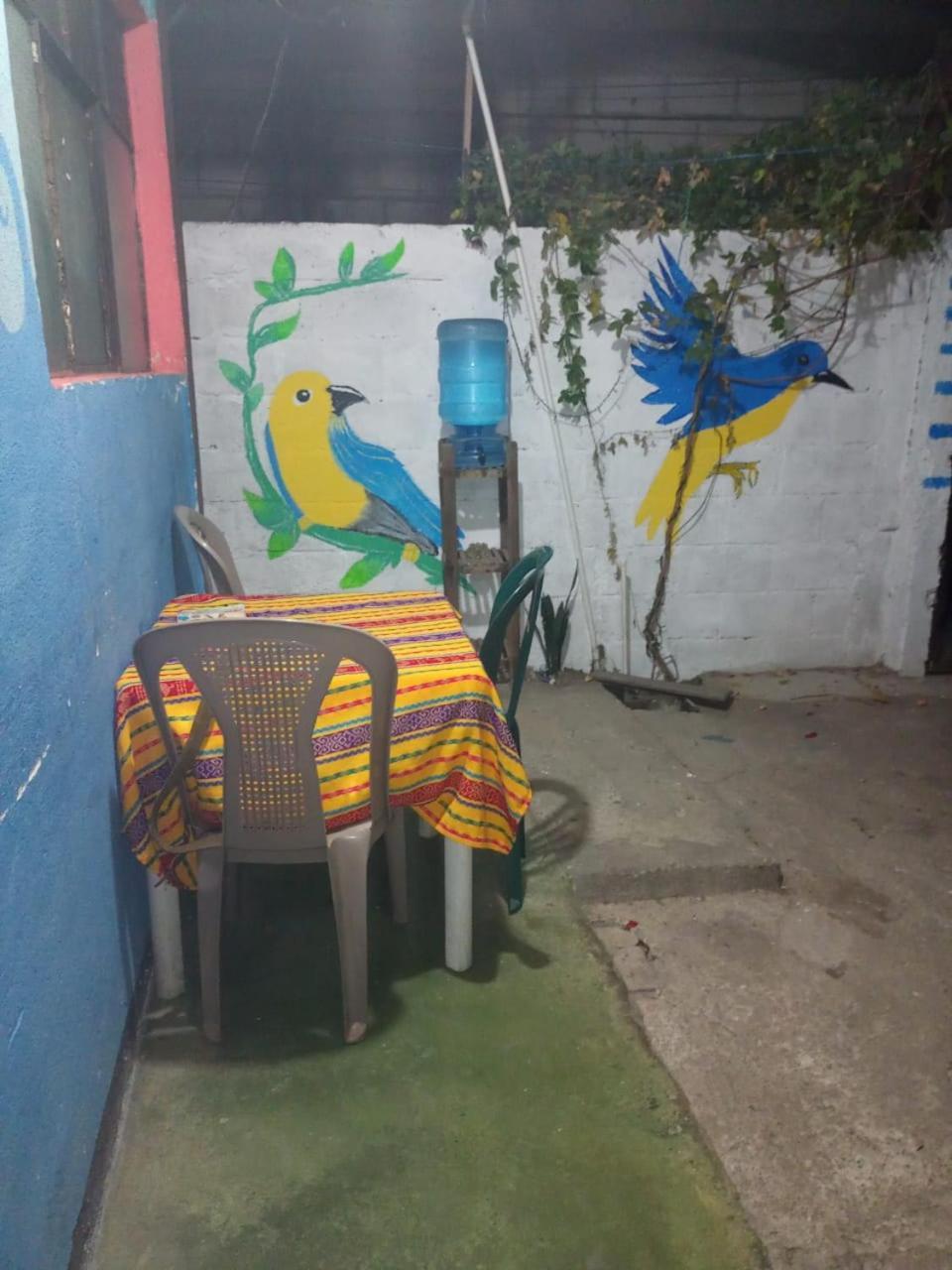 דירות פנחאצ'ל Casa Zope מראה חיצוני תמונה