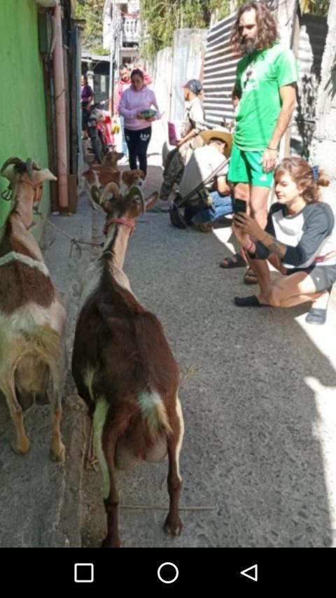 דירות פנחאצ'ל Casa Zope מראה חיצוני תמונה